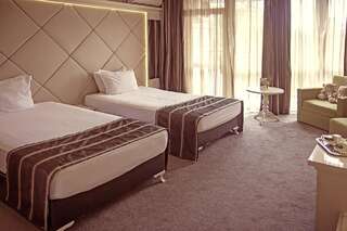 Отель Park Hotel Plovdiv Пловдив Представительский двухместный номер с 1 кроватью или 2 отдельными кроватями, бесплатная парковка-3