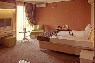 Отель Park Hotel Plovdiv Пловдив Представительский двухместный номер с 1 кроватью или 2 отдельными кроватями, бесплатная парковка-13