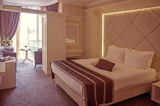 Отель Park Hotel Plovdiv Пловдив Представительский двухместный номер с 1 кроватью или 2 отдельными кроватями, бесплатная парковка-15